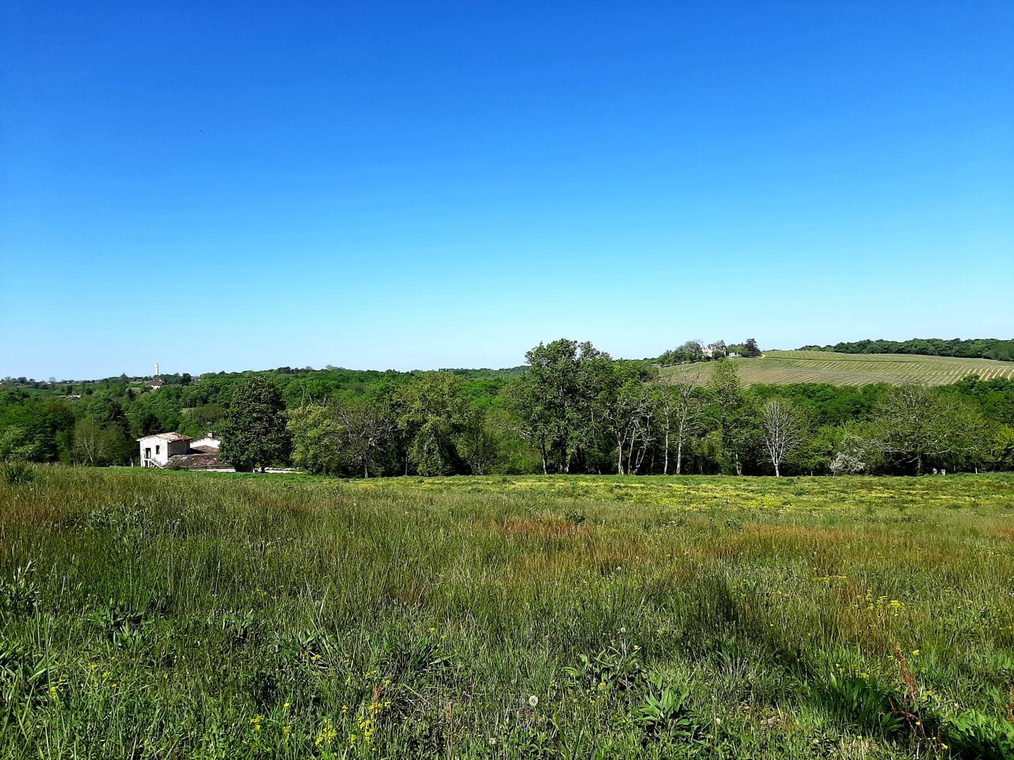Aux Tuileries Nord B&B Creon Luaran gambar
